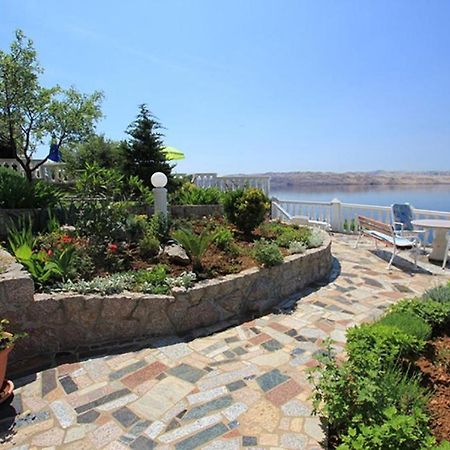 Villa Lilly Cesarica Dış mekan fotoğraf
